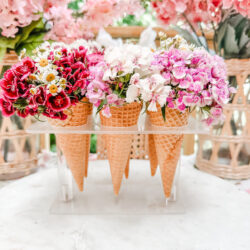 Ashley Isabelle Home