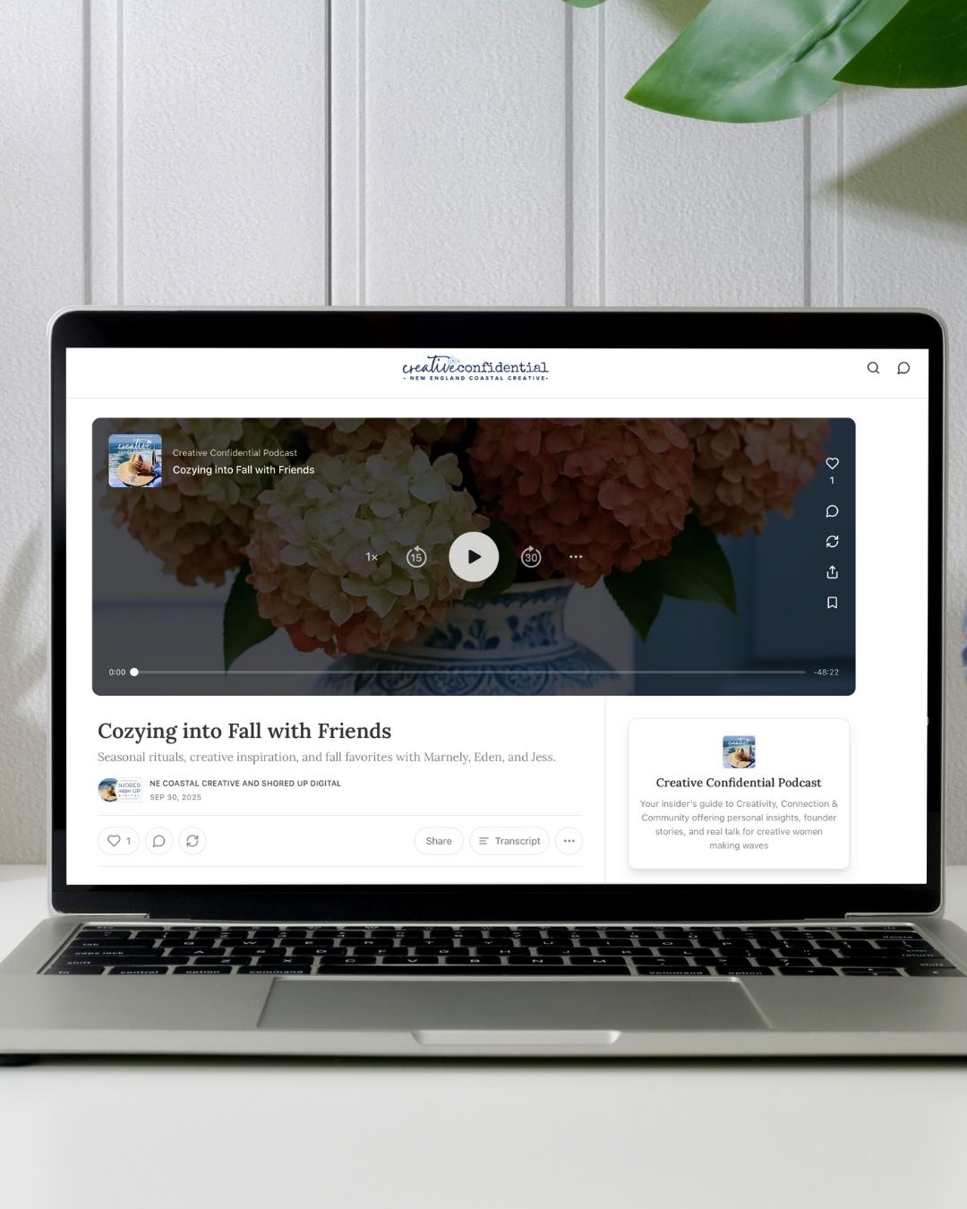 creative-confidential-covers-4