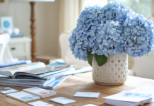 Why Print Marketing Is Back